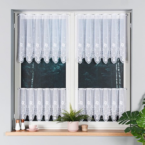 zazdrostka-zakardowa-40cm