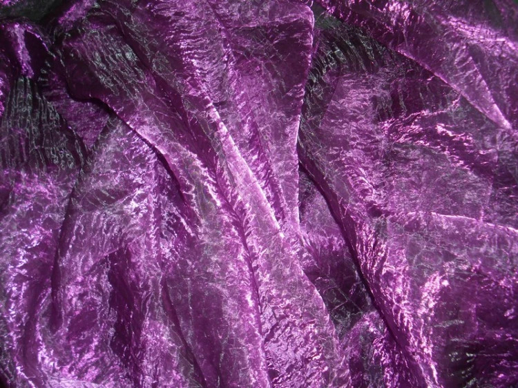 organtyna fioletowa